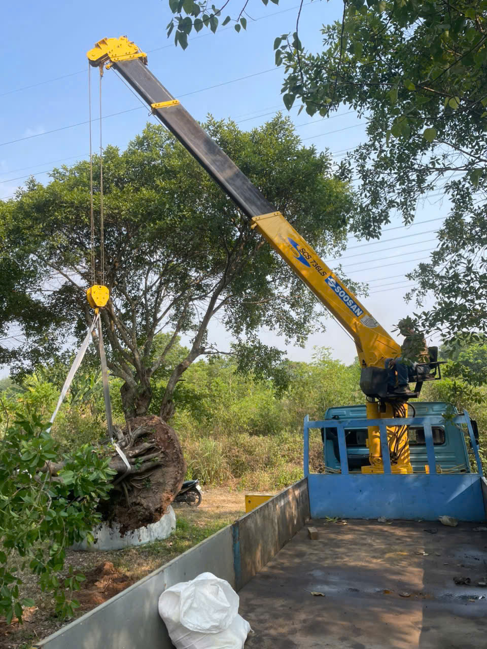 Đội xe tải nhiều tải trọng của Vận Tải Lê Chung phục vụ chở hàng đi tỉnh
